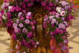DSCF3421